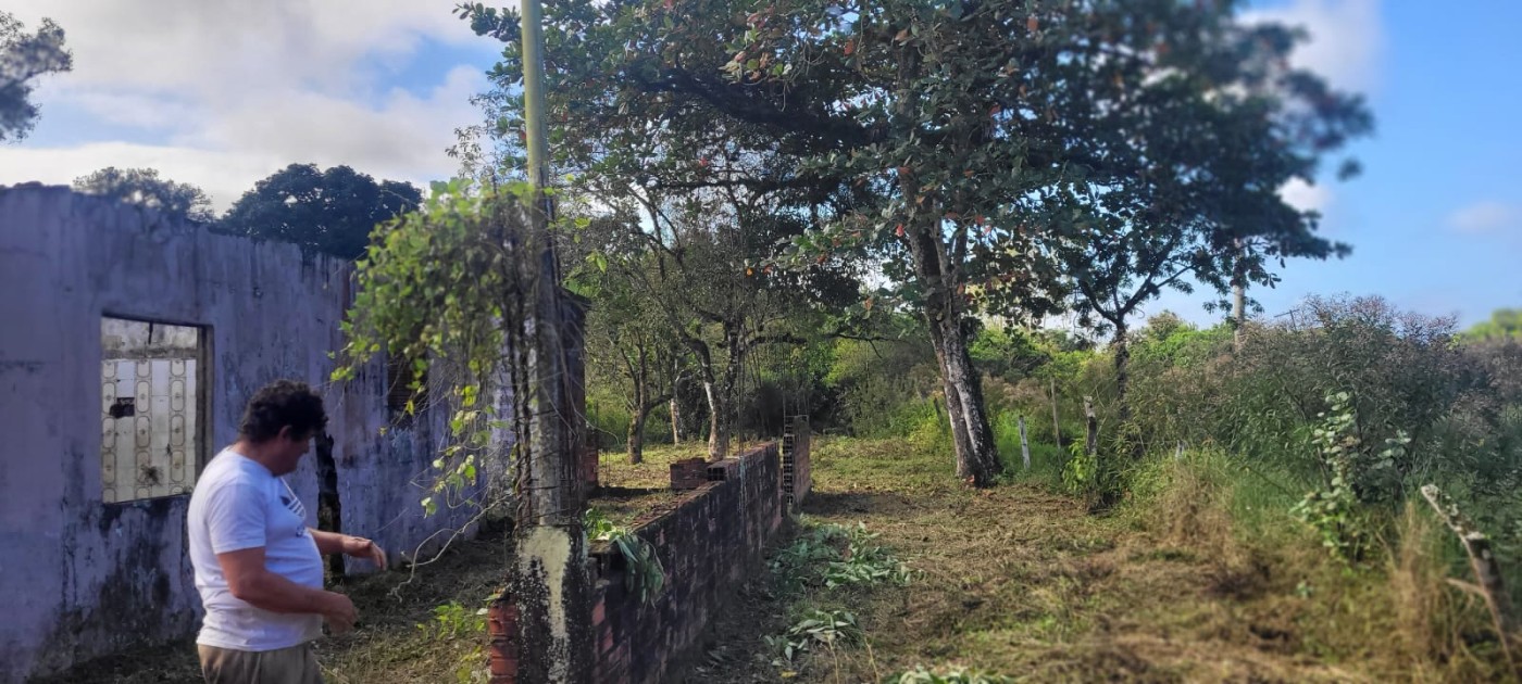 Chácara, 2 quartos, 2590 m² - Foto 3