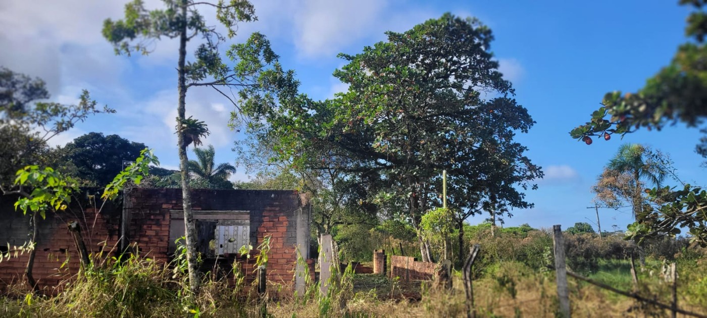 Chácara, 2 quartos, 2590 m² - Foto 2