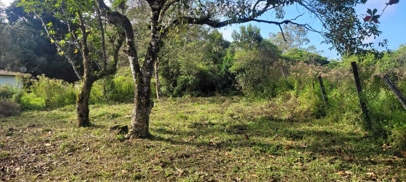 Chácara, 2 quartos, 2590 m² - Foto 5