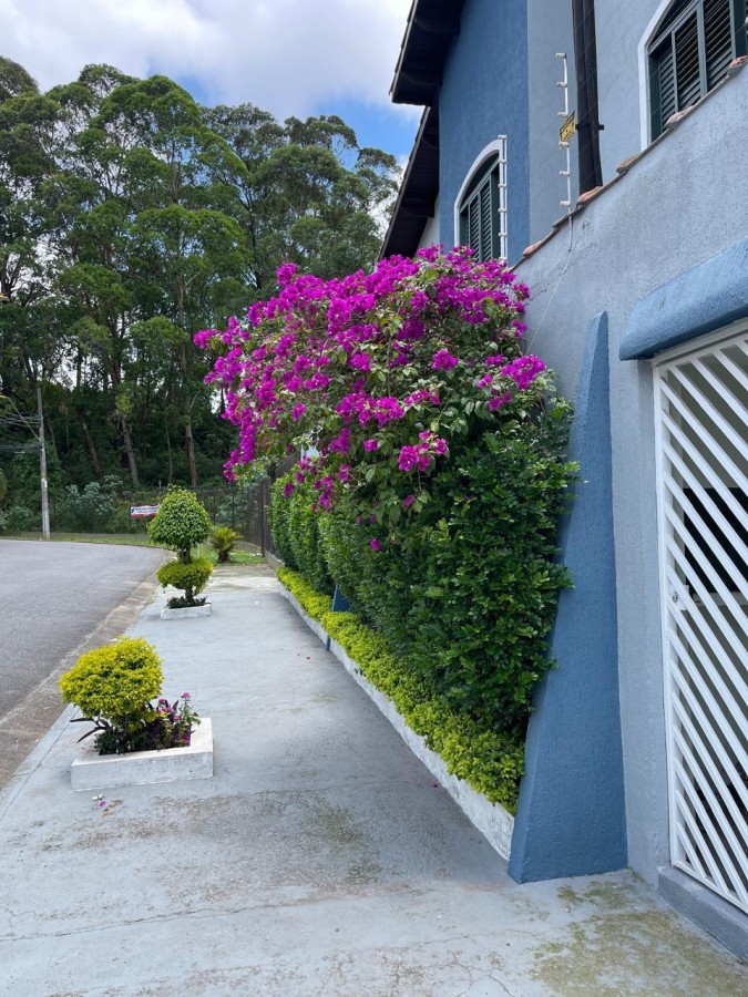 Casa, 4 quartos - Foto 3