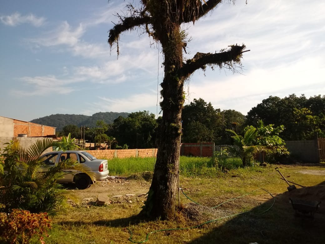 Terreno, 900 m² - Foto 5