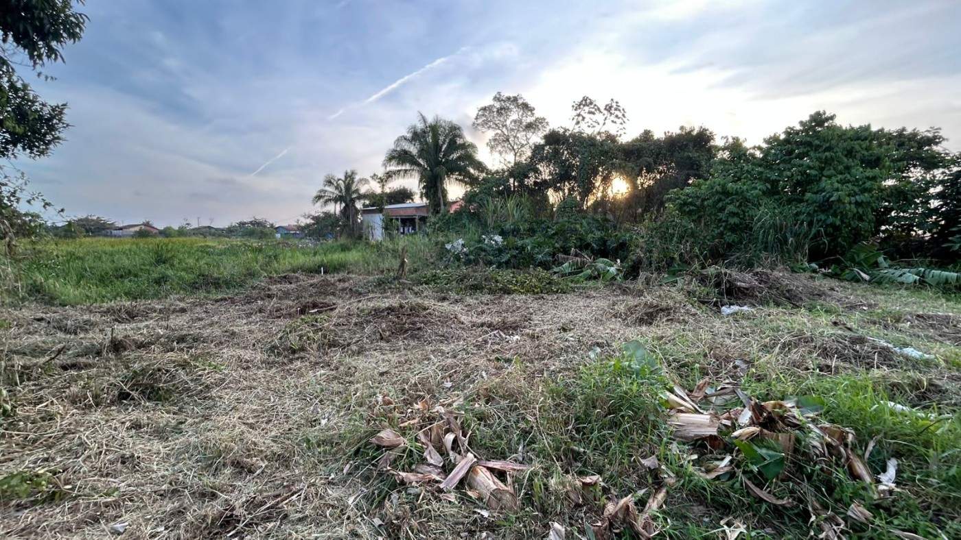 Terreno, 260 m² - Foto 3