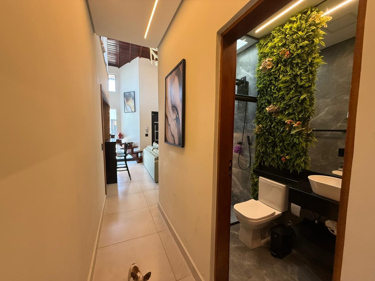 Casa, 3 quartos - Foto 30