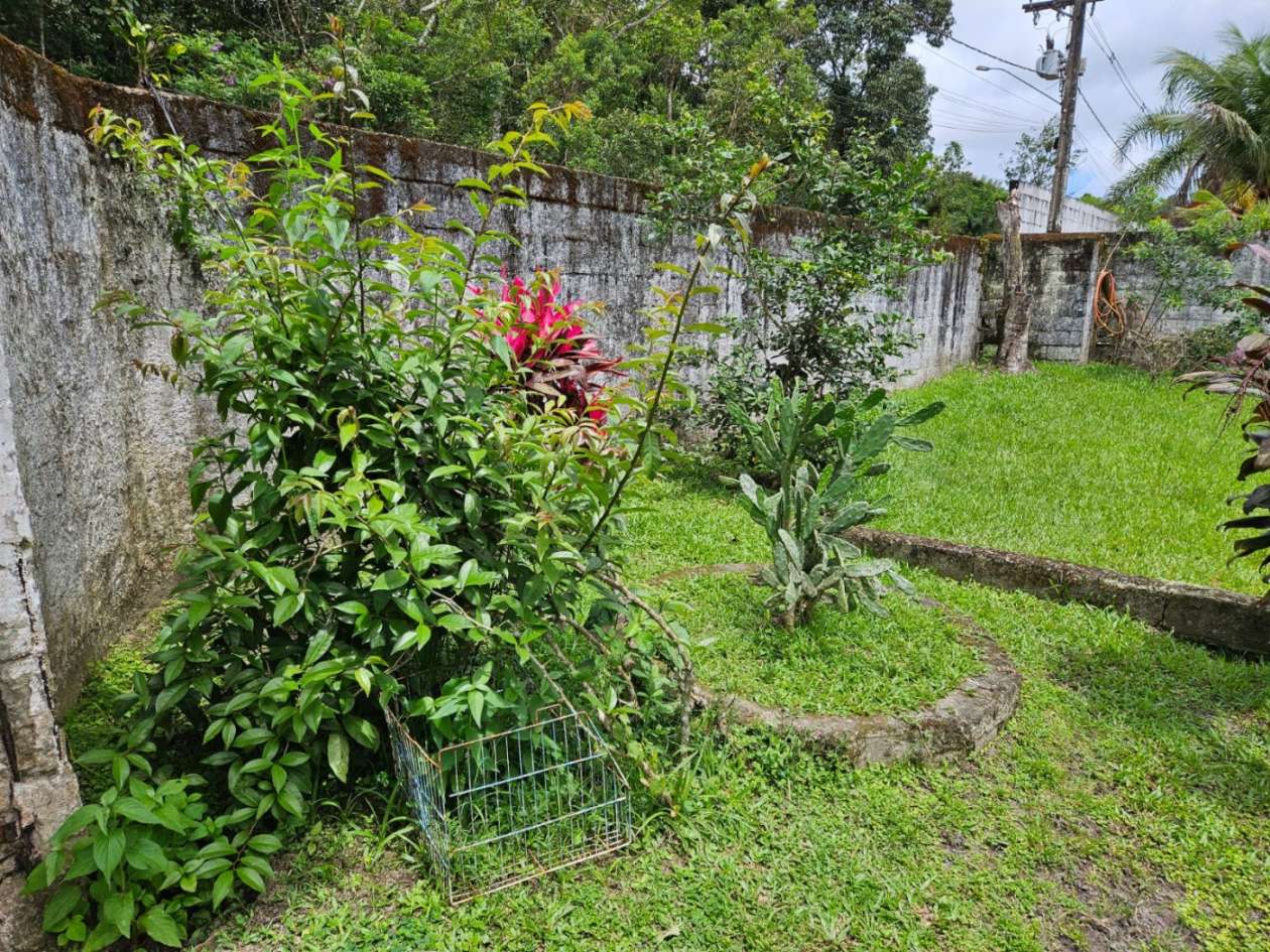 Fazenda, 1000 m² - Foto 4