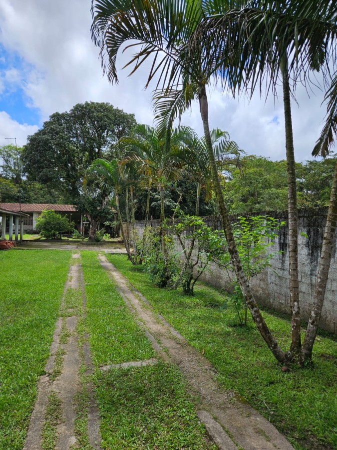 Fazenda, 1000 m² - Foto 6