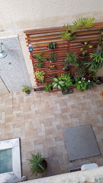 Casa, 4 quartos - Foto 51