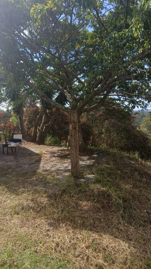 Fazenda, 1000 m² - Foto 14