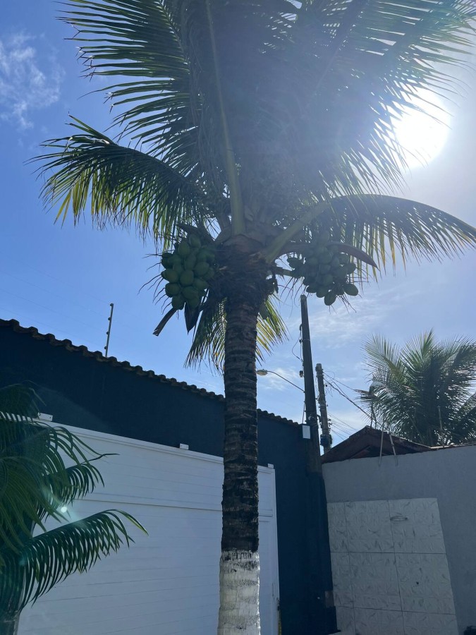 Casa, 2 quartos - Foto 46