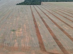 Fazenda, 1 hectares - Foto 1
