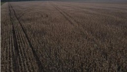 Fazenda, 1 hectares - Foto 3