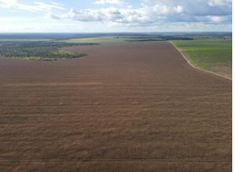 Fazenda, 1 hectares - Foto 4