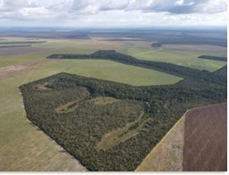 Fazenda, 1 hectares - Foto 7