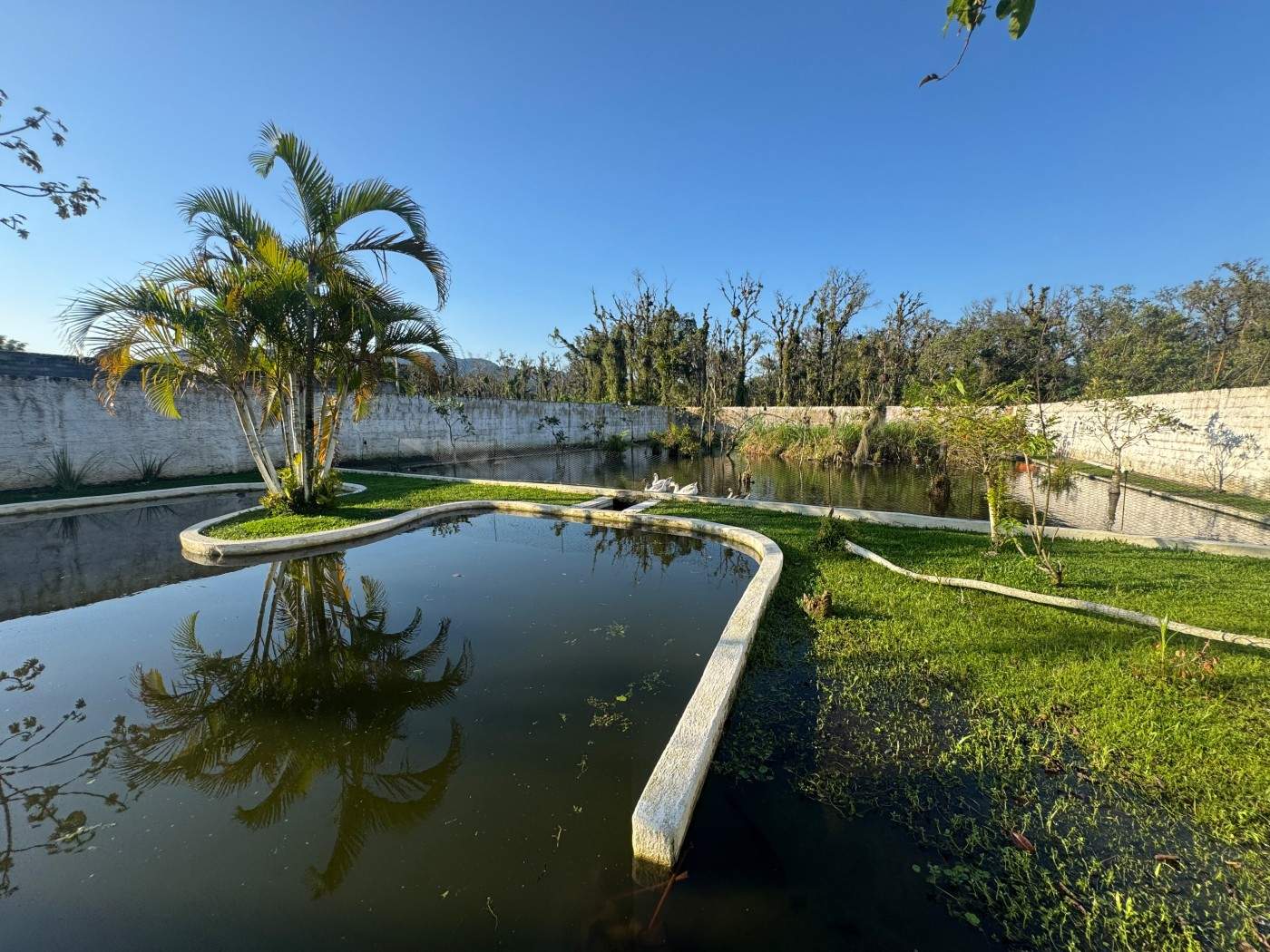 Fazenda, 3 quartos - Foto 41
