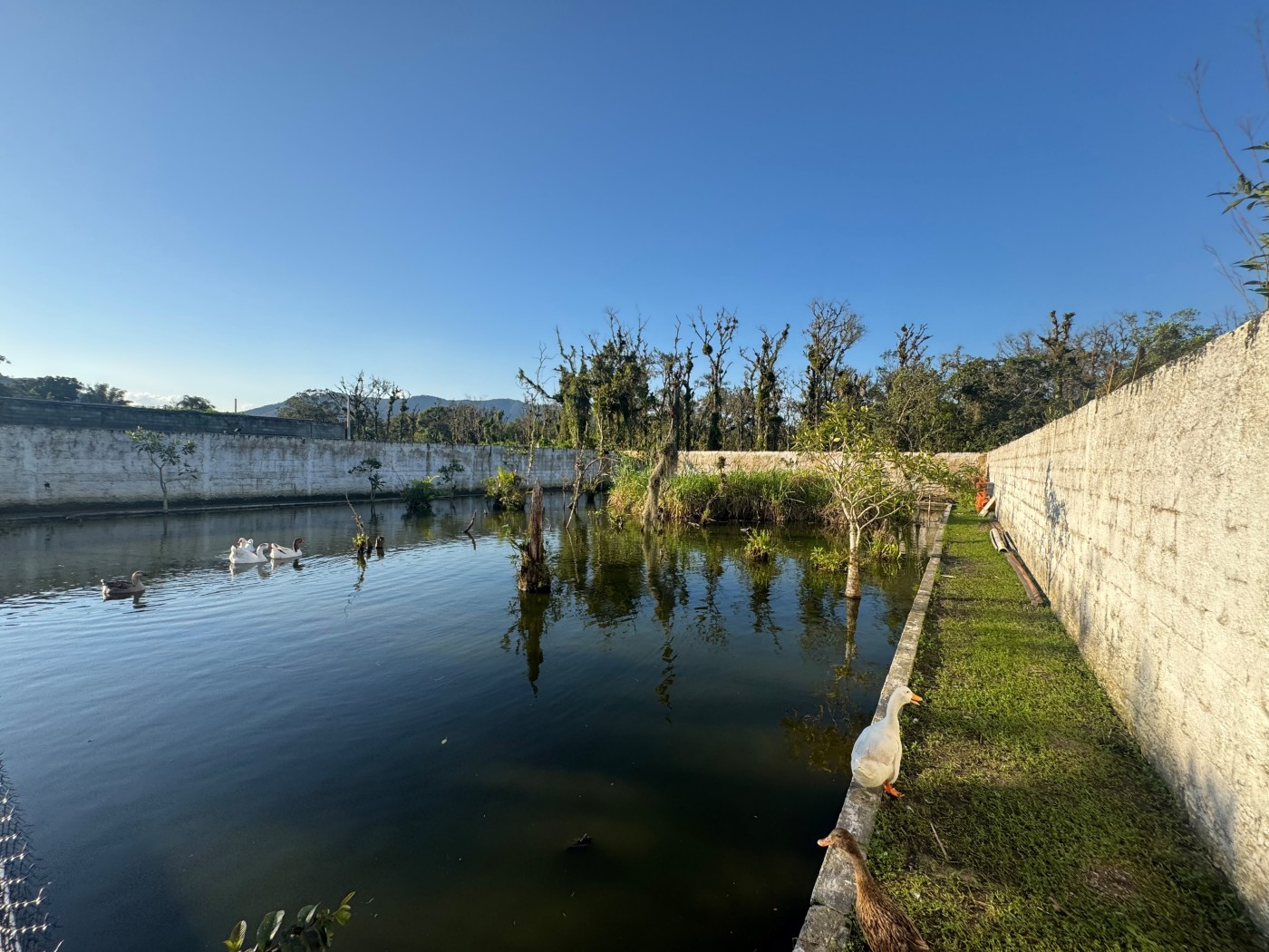 Fazenda, 3 quartos - Foto 48